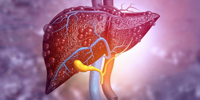 Therapeutic potential of phages in autoimmune liver diseases