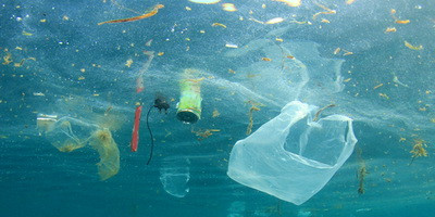Пластиковый мусор в океанах способствует распространению устойчивости к антибиотикам
