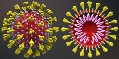 Могут ли бактериофаги быть полезны для пациентов с коронавирусной инфекцией