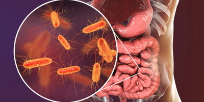 Бактериофаги как средство оздоровления микробиома