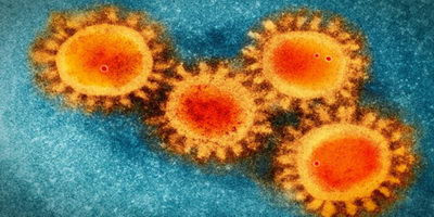 Вчені розробляють вакцину проти COVID-19 на основі бактеріофага
