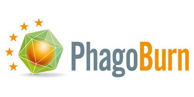 PhagoBurn Project: Important Findings